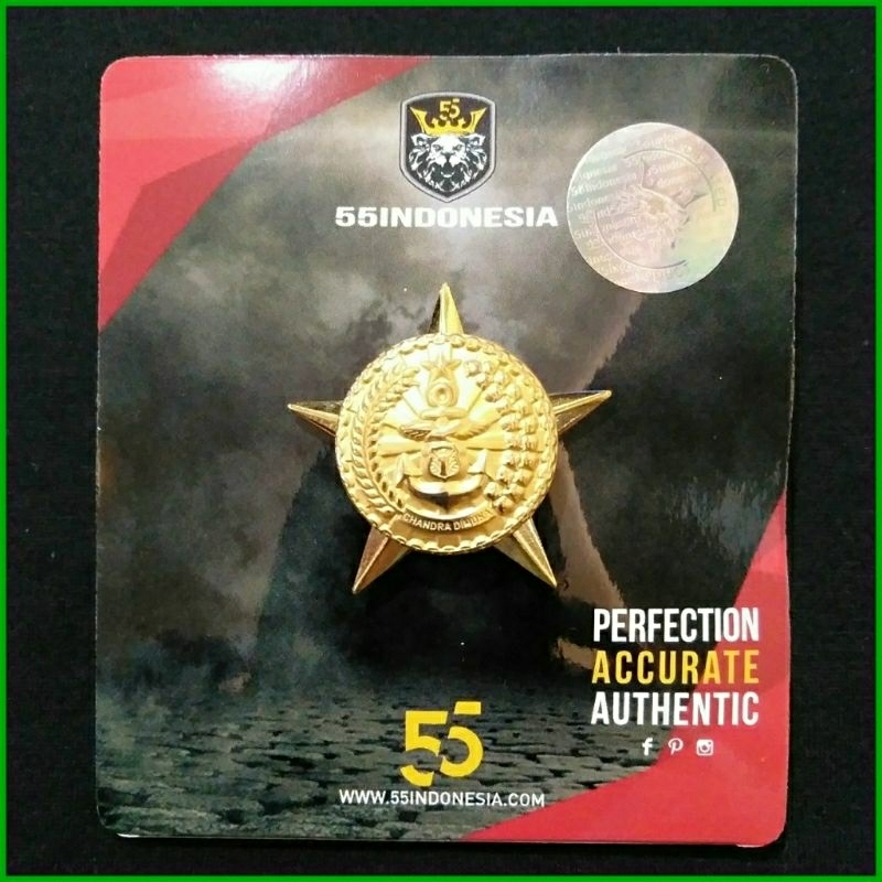 BREVET INTEGRASI | PIN INTEGRASI - 55 INDONESIA
