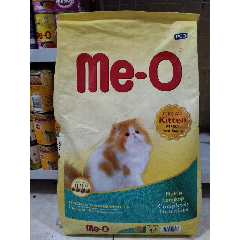 Meo Persian Kitten