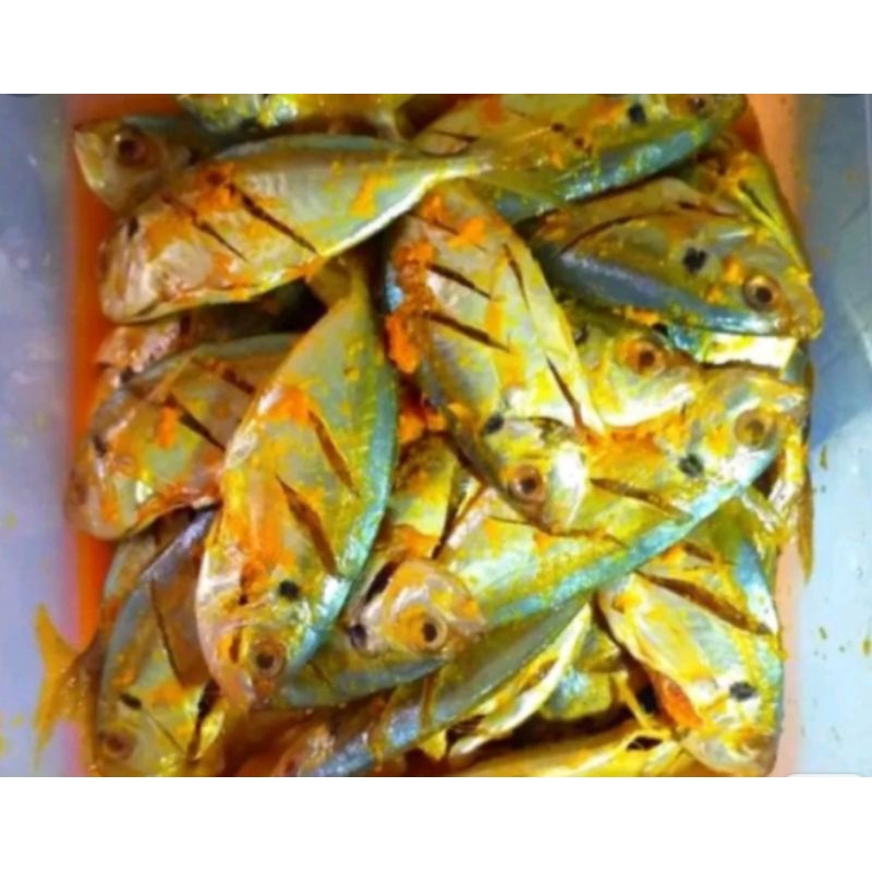 

Ikan selar bumbu kuning siap goreng 500gr