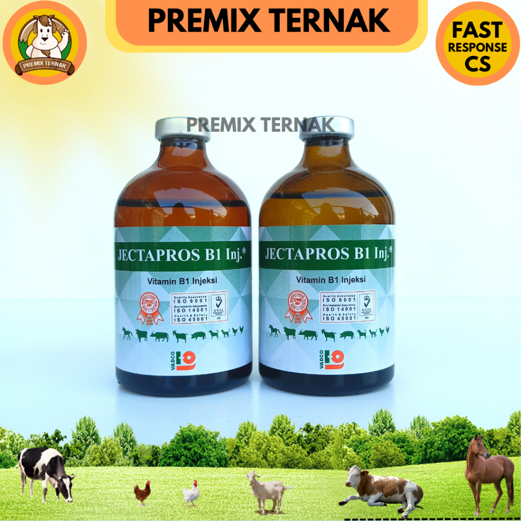 PROMO JECTAPROS B1 - Vitamin B1 Hewan Sapi Kambing Domba dll - Like B1 Wonder