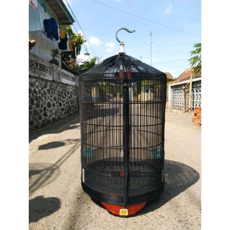 kerodong transparan murai full no 2