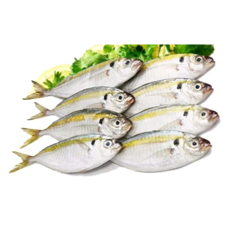

Ikan selar fres 1kg