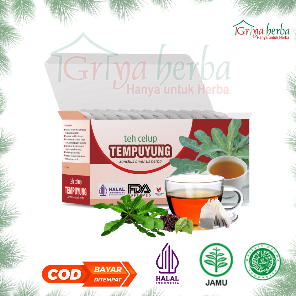 

Teh Daun Tempuyung tazakka Kering Asli Minuman Kesehatan Herbal Isi 20 Kantung Celup Tea Bag Herbal Batu Ginjal Infeksi