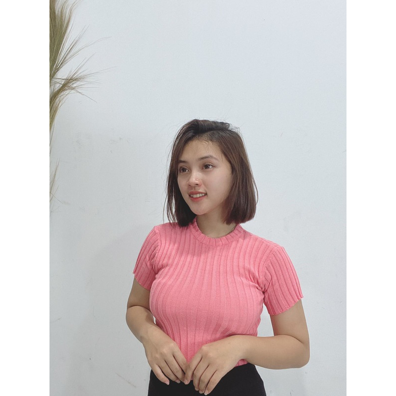 Sierra Top - Baju Basic Crop Top Bahan Premium Knit - Atasan Rajut Wanita