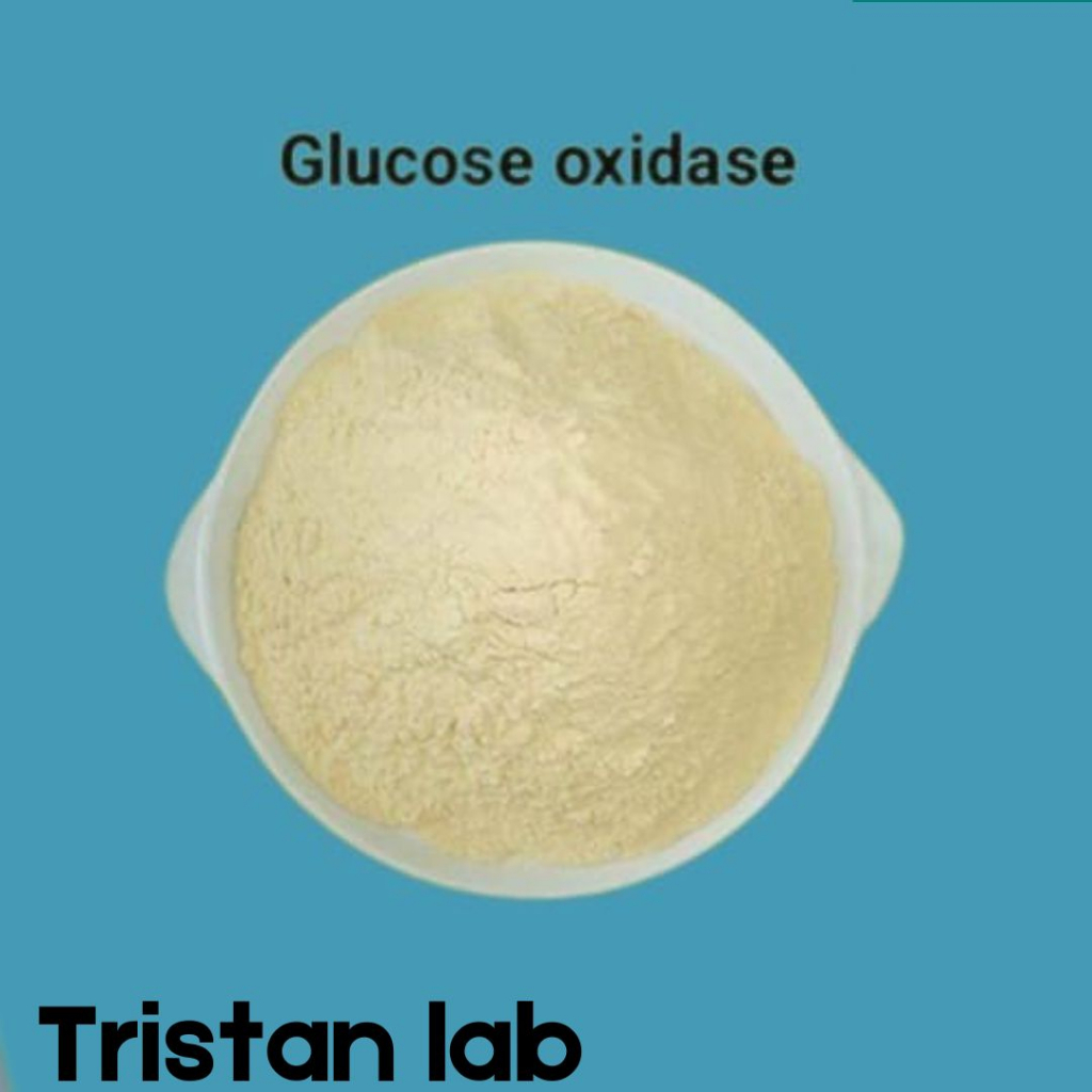 Enzim Glukosa Oksidase 5 gram / Enzim Glucose Oxidase Powder 5 gram