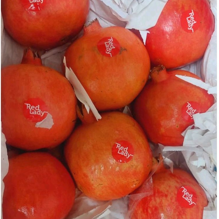 

Buah Delima India Merah Manis Fresh Import / 1 Box