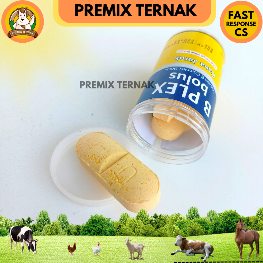 USFA B PLEX BOLUS 1 POT (3 Bolus) - Vitamin B complex Hewan Bolus - Like Vita B Plex dan Pro B Plek