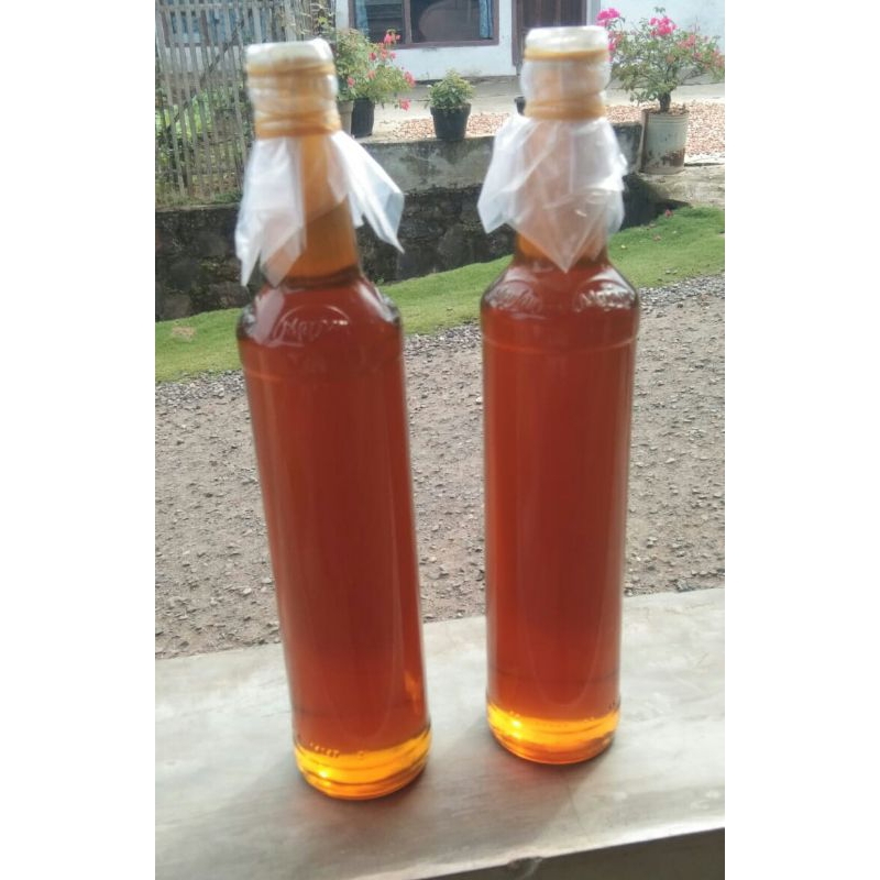 

madu hutan asli