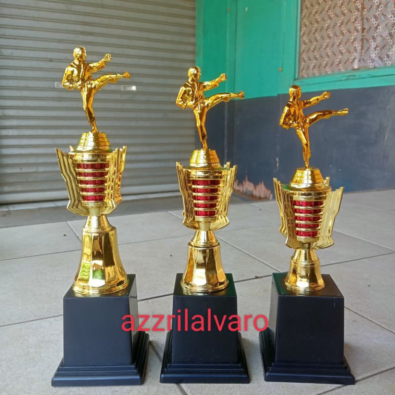 Piala 046 Silat/Taekwondo/Karate Tinggi 36cm