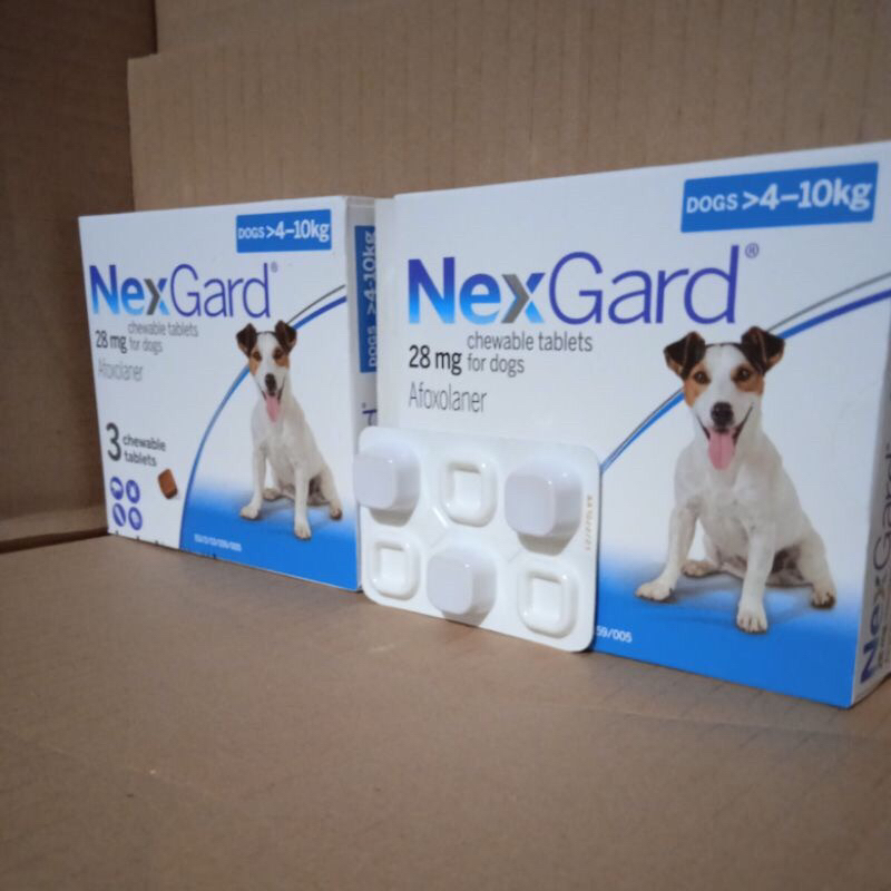 nexgard medium dog - obat kutu anjing nexgard medium
