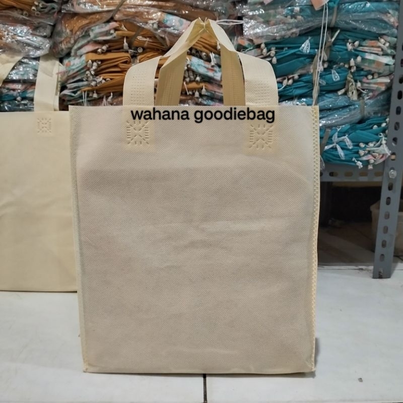 tas spunbond goodiebag box 22x22 kotak press 12pcs