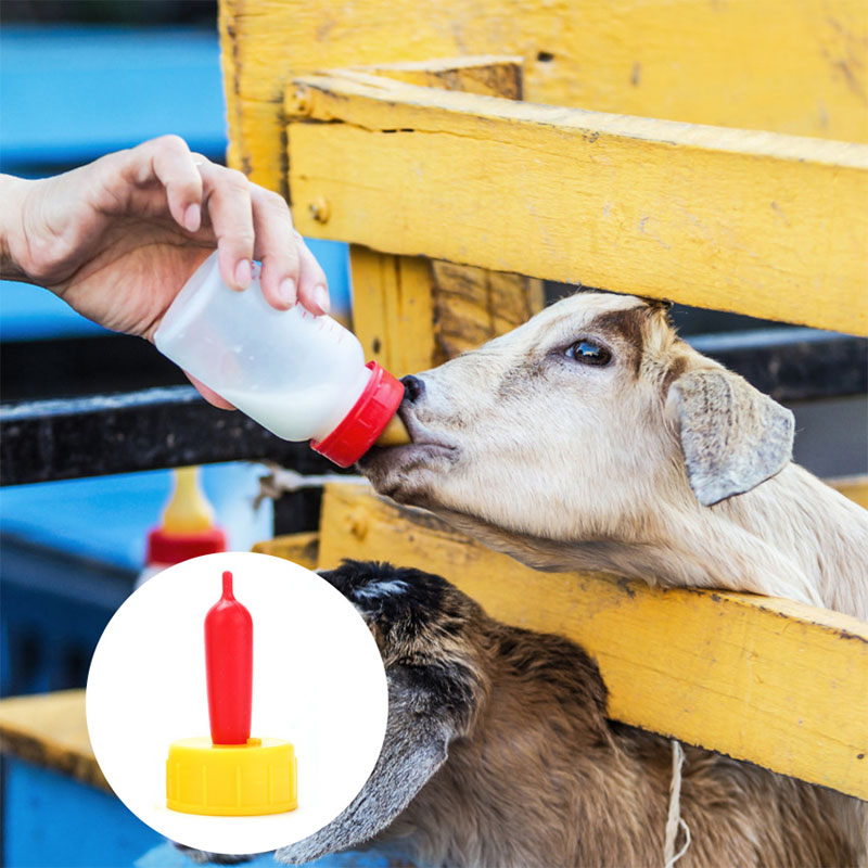 Dot Cempe Anak Kambing Dot Domba Kecil Silikon Hewan