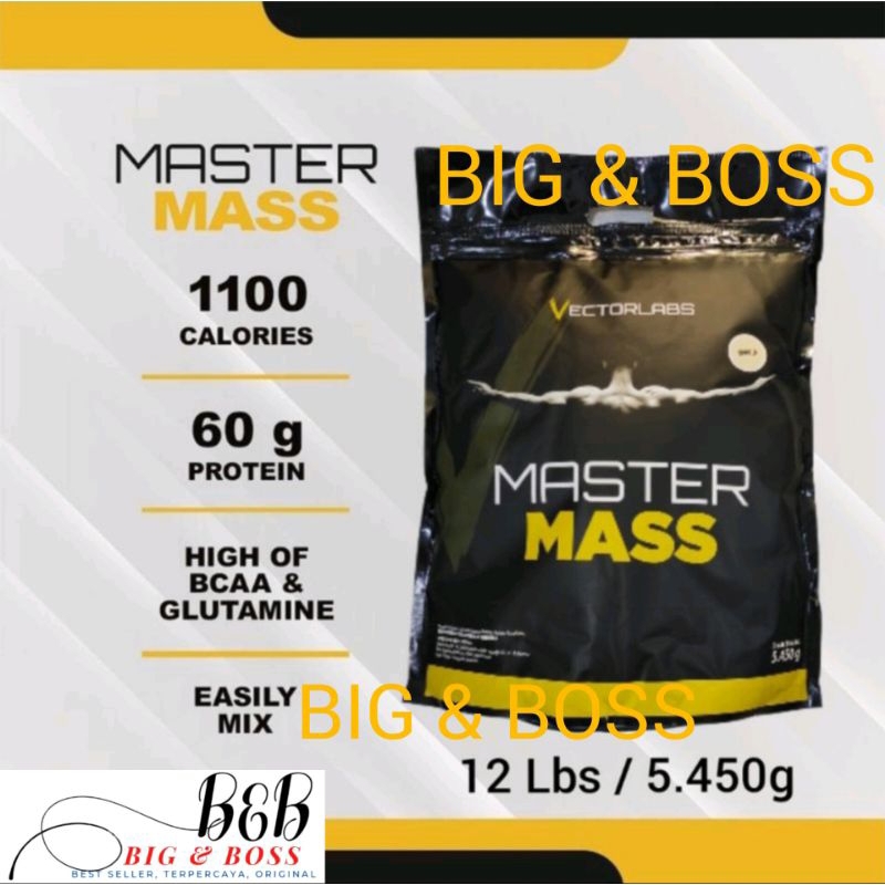 VECTORLABS MASTER MASS GAINER 12 LBS