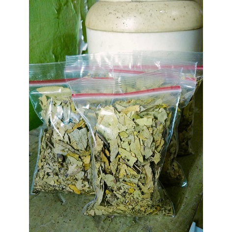 

(HERBAL) DAUN JATI BELANDA