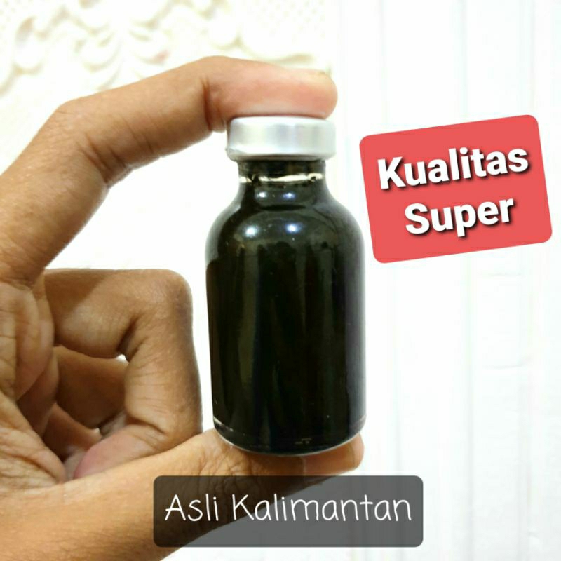 Minyak lintah hitam kualitas super asli kalimantan