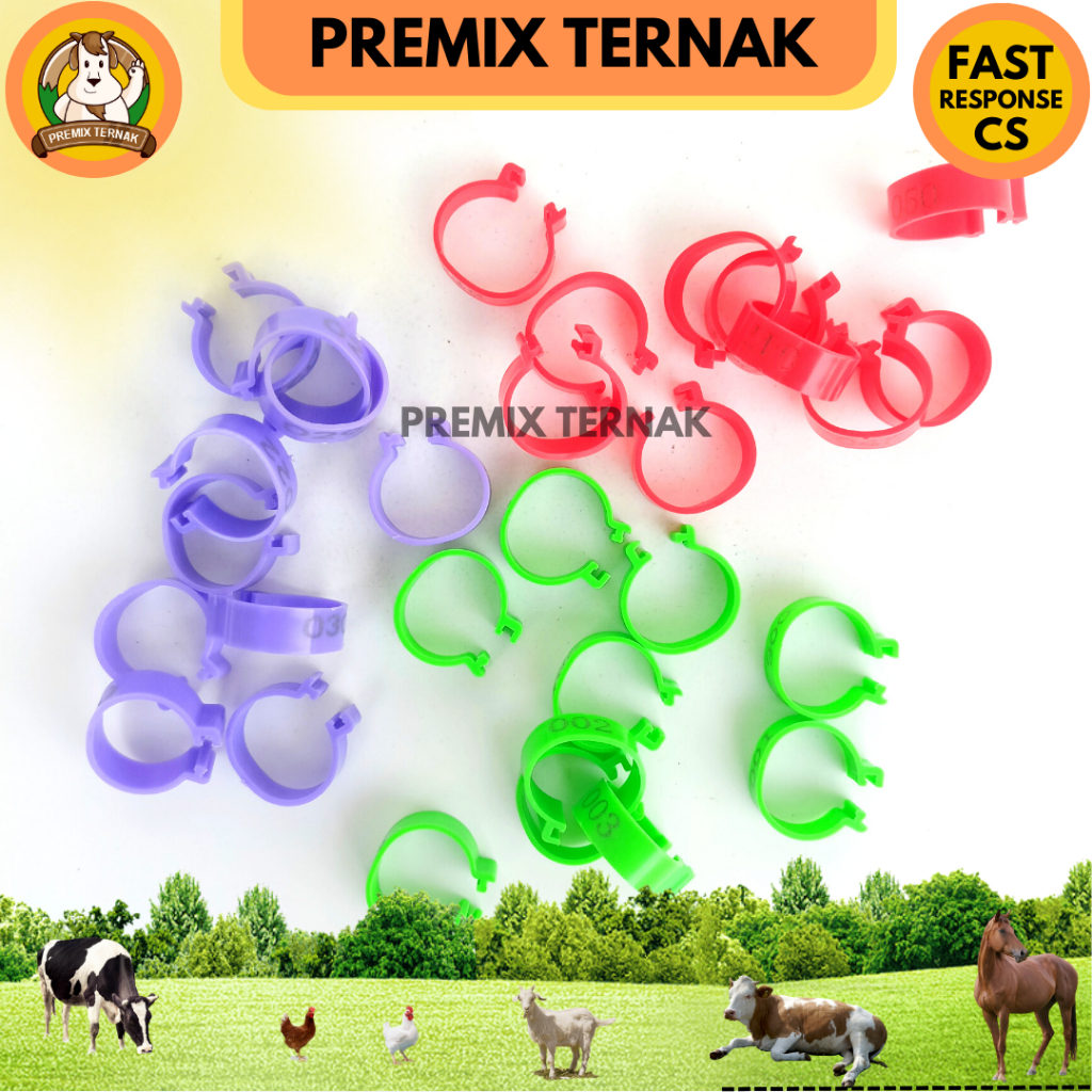 Gelang Kaki Ayam Bebek Adjustable Kecil Bernomor 1 Pcs