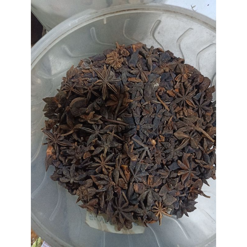 

bunga sisir rempah