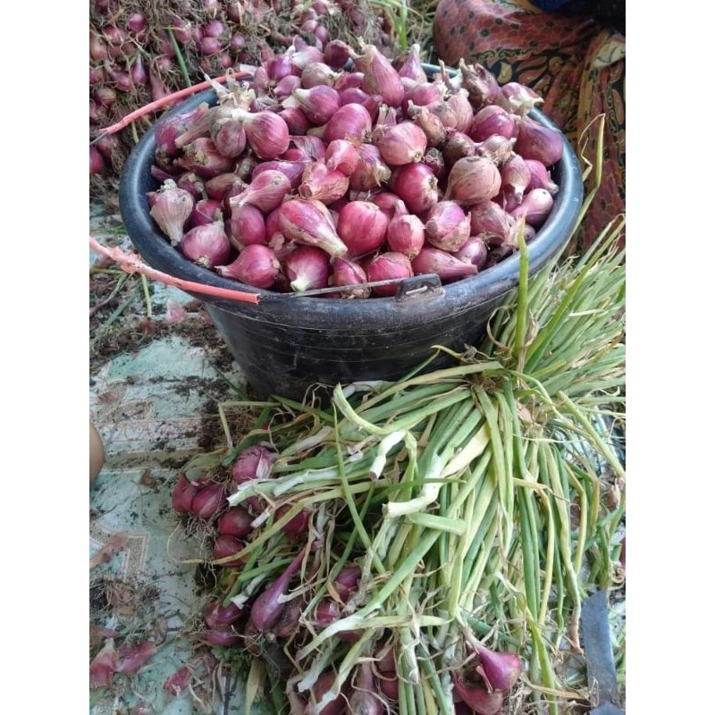 

Bawang merah Brebes super berat 1kg