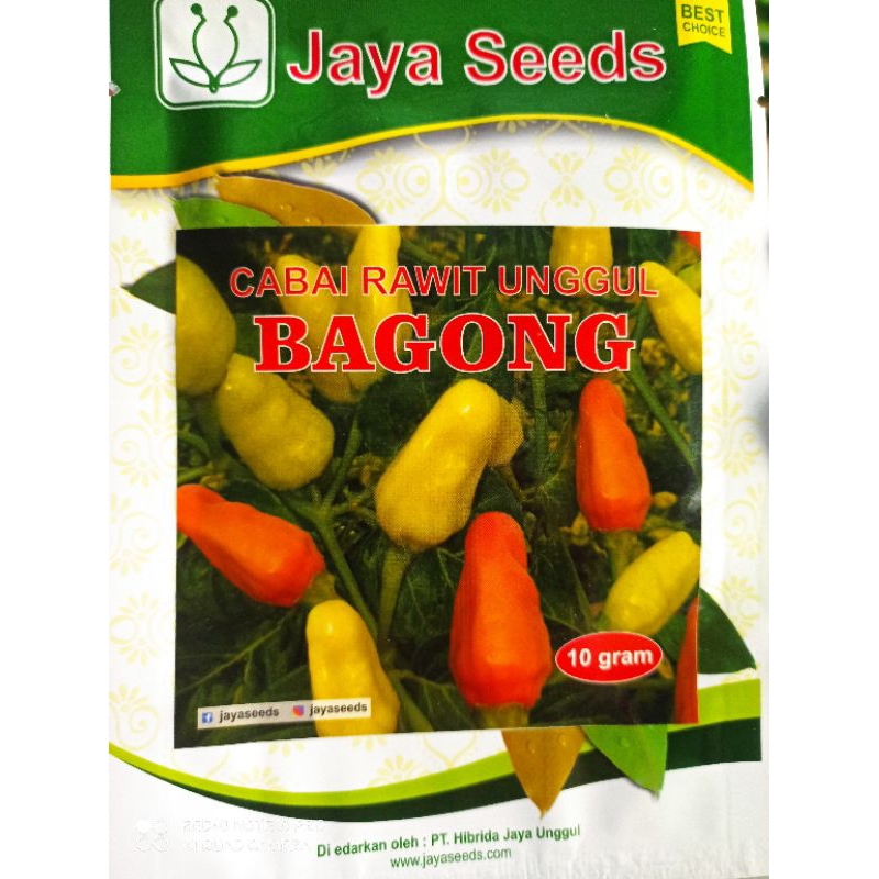 Benih Cabe Rawit BAGONG 10Gr