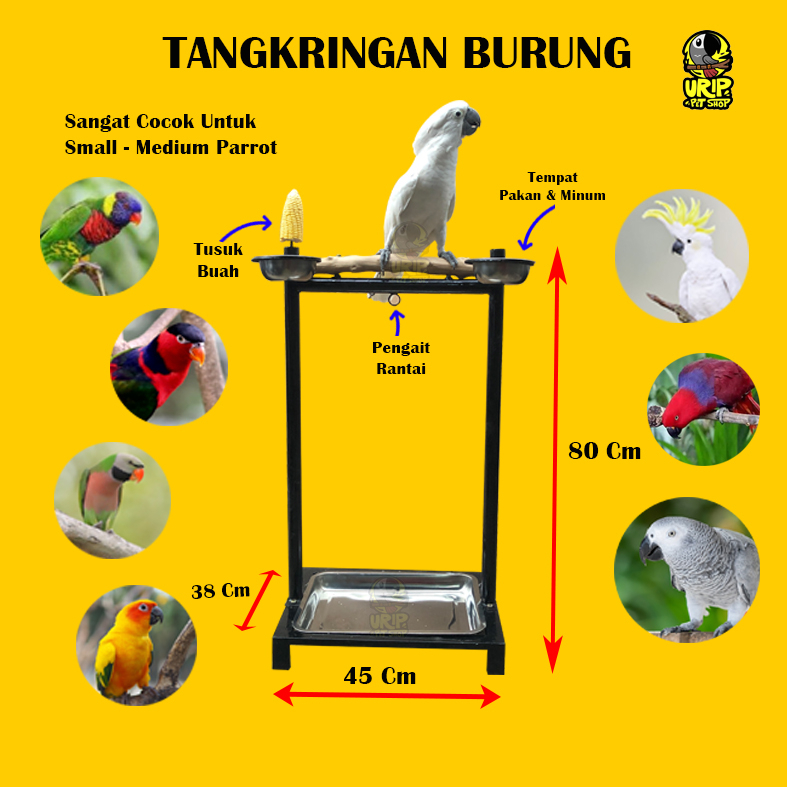 TANGKRINGAN BURUNG MEDIUM SUPER KUAT MURAH KAKAKTUA BAYAN NURI AFGREY AMAZON