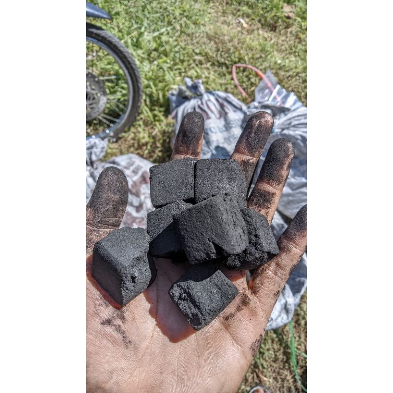 

BRIKET ARENG BATOK KELAPA