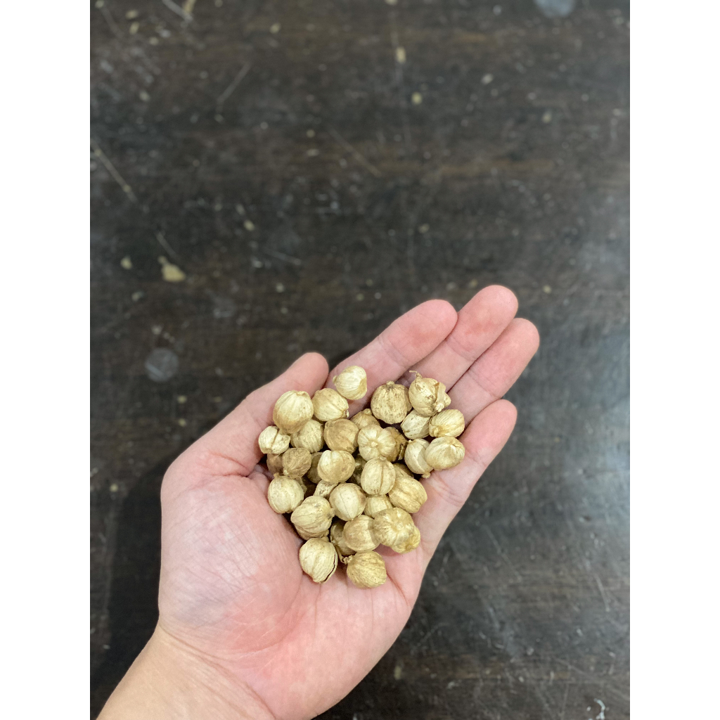 

Kapulaga / True Cardamom