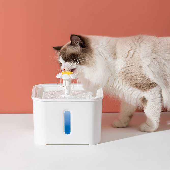 Water Dispenser Tempat Minum Anjing Kucing 2.5 Liter Dispenser Penyaring Air Bersih Sistem Mengalir Berkualitas