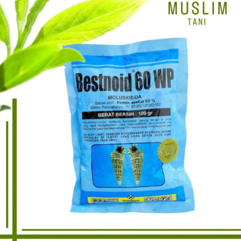 Bestnoid 60WP 100gr