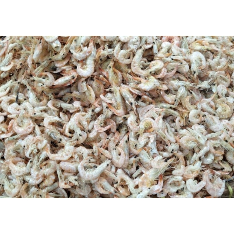 

Udang kering besar /isi 1kg