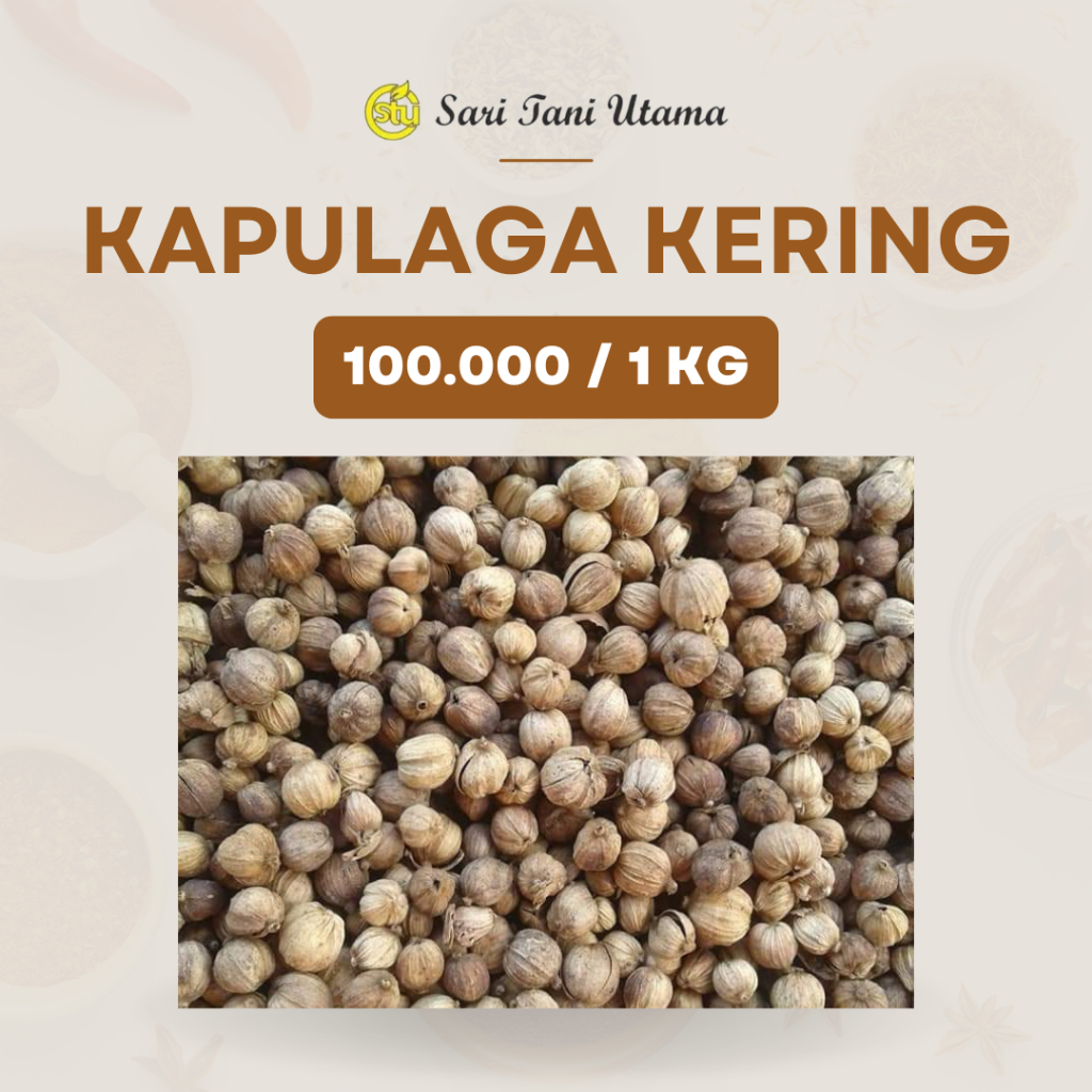 

Kapulaga Kering 1Kg Rempah Asli