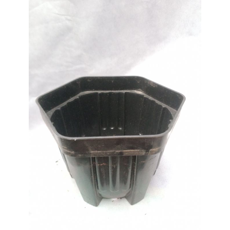 pot plastik/pot tanaman