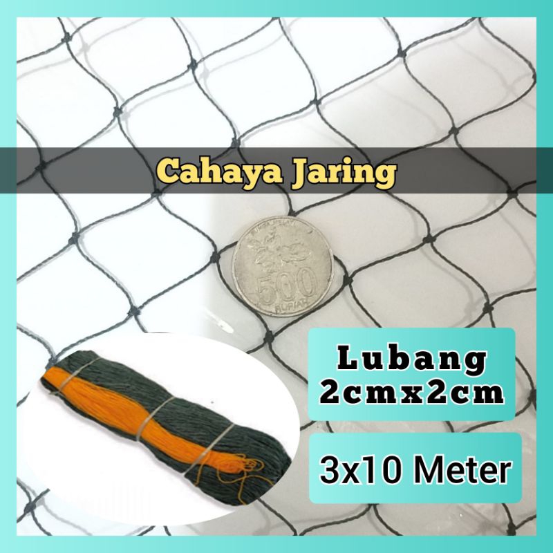 JARING PAGAR SERBAGUNA 3X10 METER LUBANG 2CM X 2CM JARING PAGAR AYAM JARING AYAM JARING PAGAR KANDANG AYAM JARING PAGAR SERBAGUNA