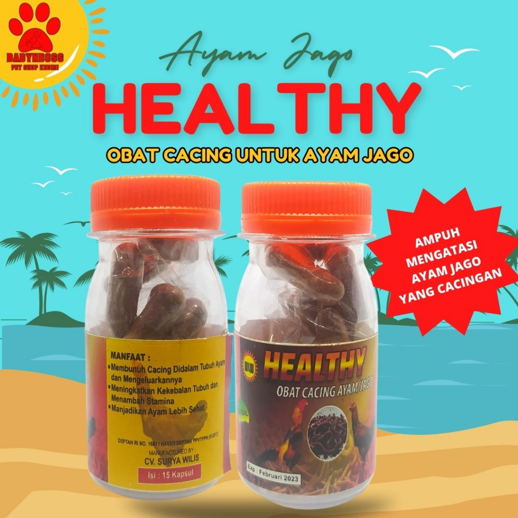 Healthy Obat Cacing Herbal Untuk Ayam Petarung Bangkok Pakhoy Thailand Super Ampuh