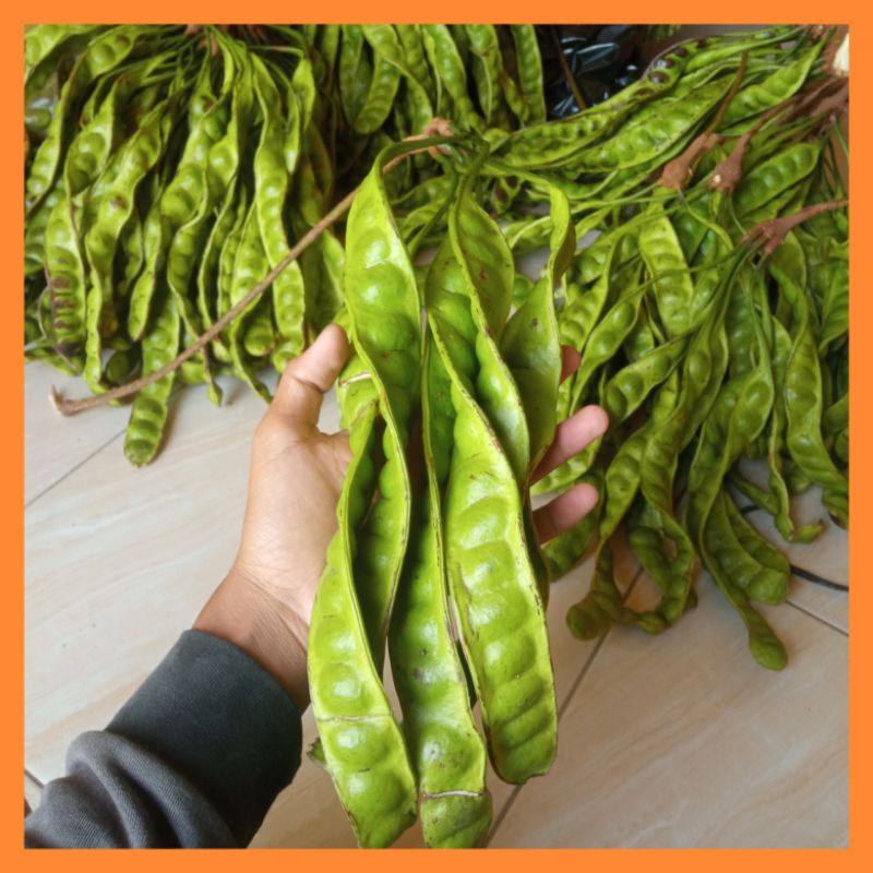 paket 5 papan pete segar isi 5 papan