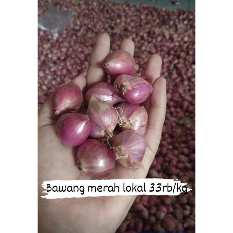 

BrambangNganjuklokal