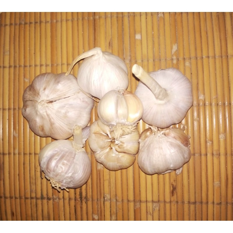 

Bawang Putih 250 gr