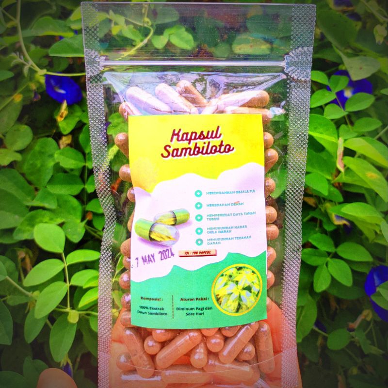kapsul sambiloto isi 100 Kapsul