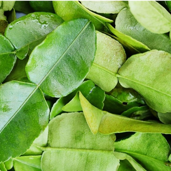 

Daun Jeruk per 50 g