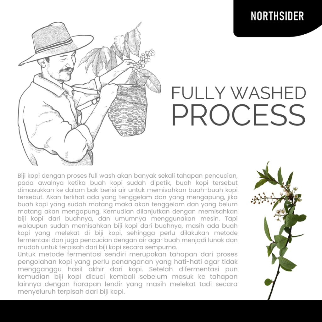 BIJI KOPI ARABICA FLORES BAJAWA WASHED - 500GR NORTHSIDER COFFEE