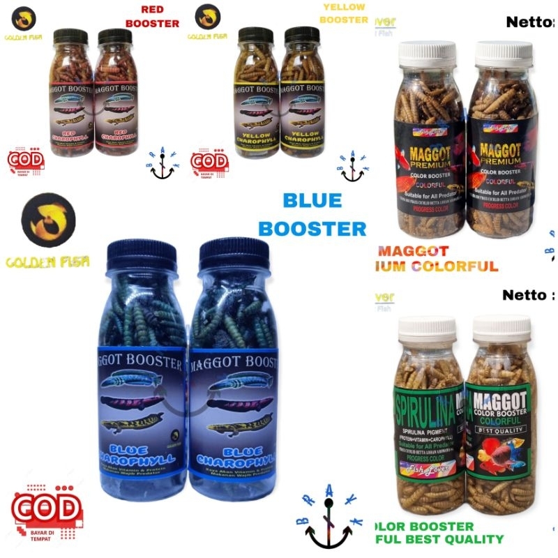 Pakan ikan Predator Maggot Kering Grade A++ Original 45gram