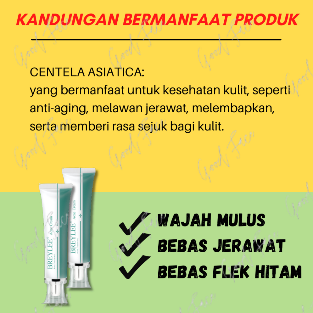 Penghilang Bekas Jerawat BREYLEE Acne Cream Scar Removal Penghilang Noda Bekas Jerawat, Luka &amp; Stretch Mark (30 g)