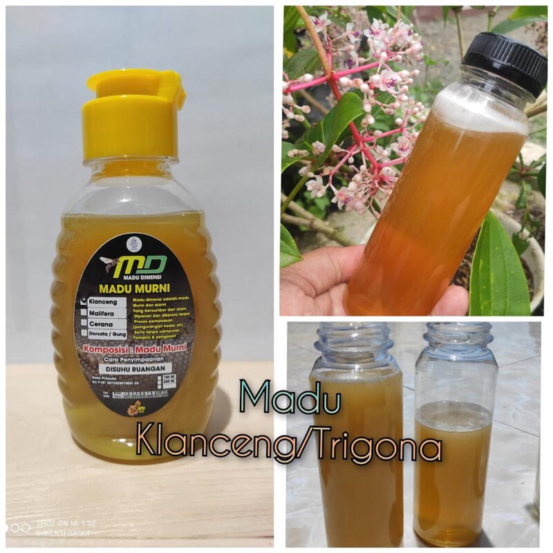 

Madu Klanceng/Trigona Kaliandra