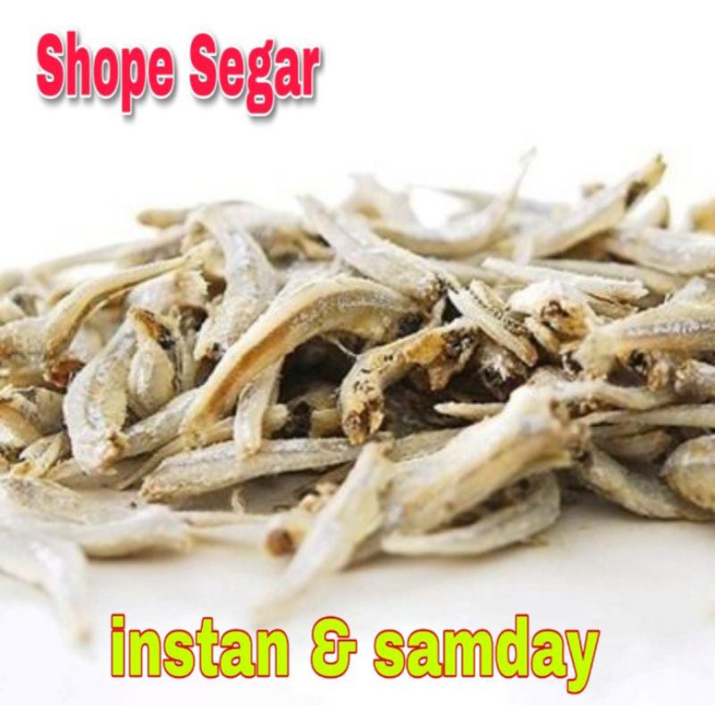 

Teri Jengki Asin Teri bulat untuh 100 gram kirim instan dan sameday