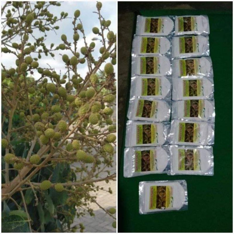perangsang bunga buah kelengkeng