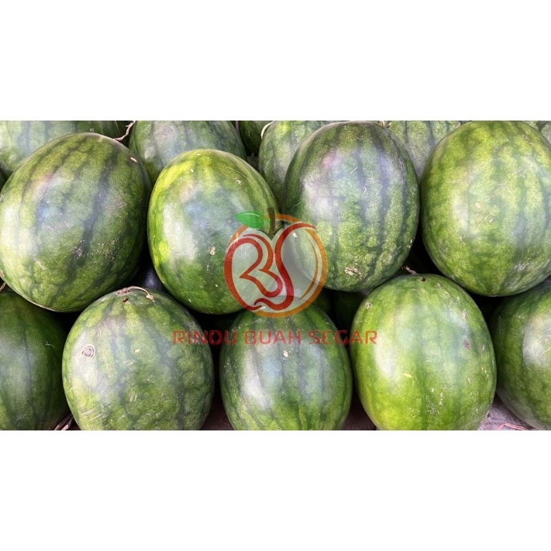 

semangka merah tanpa biji (5-6kg)