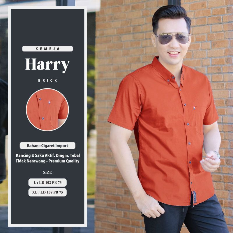 HARRY KEMEJA PRIA