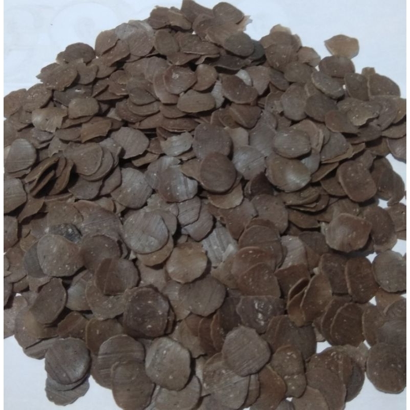 

KERUPUK JENGKOL 500gr