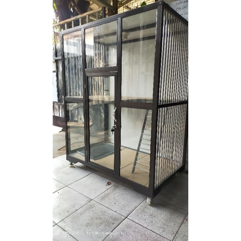 kandang kucing cat room