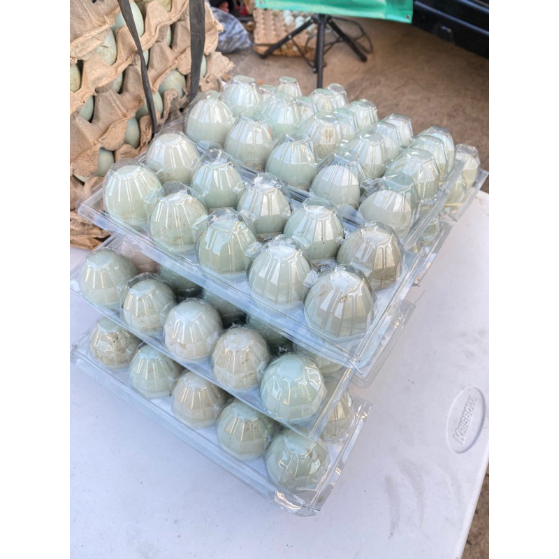 

TELUR BEBEK ISI 10