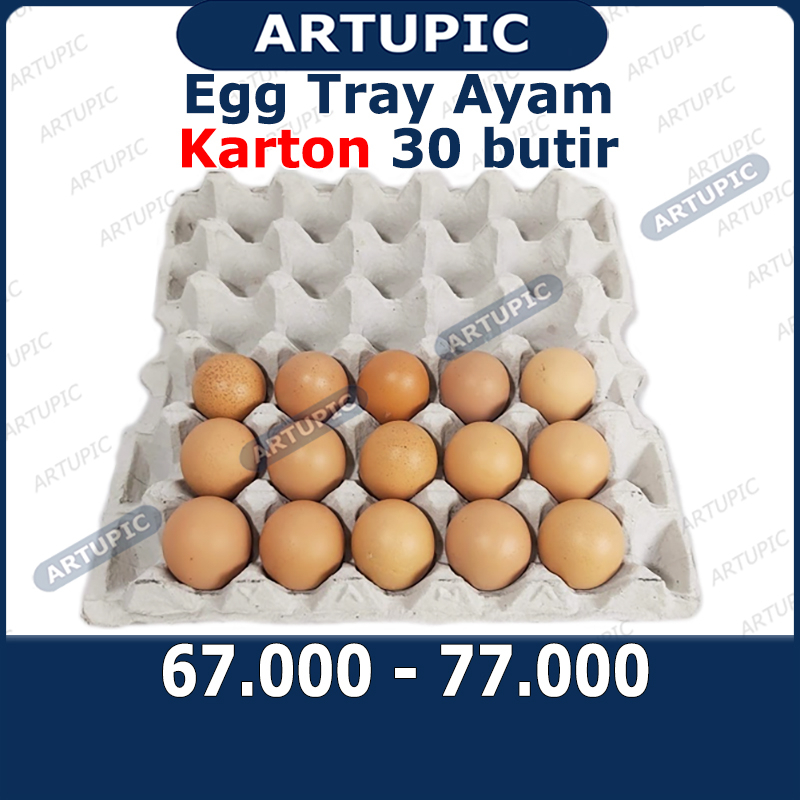 Egg Tray Ayam KARTON Kertas kardus rak Tempat Telur Telor ayam bebek 70 lembar